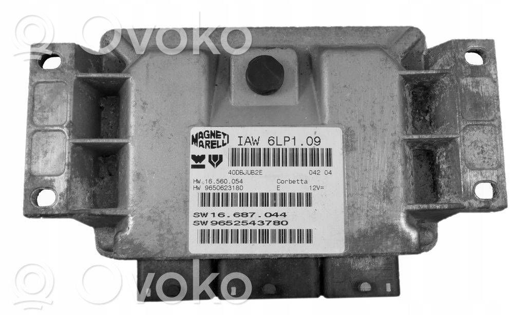 Engine control unit/module   9652543780,9650623180,IAW6LP109