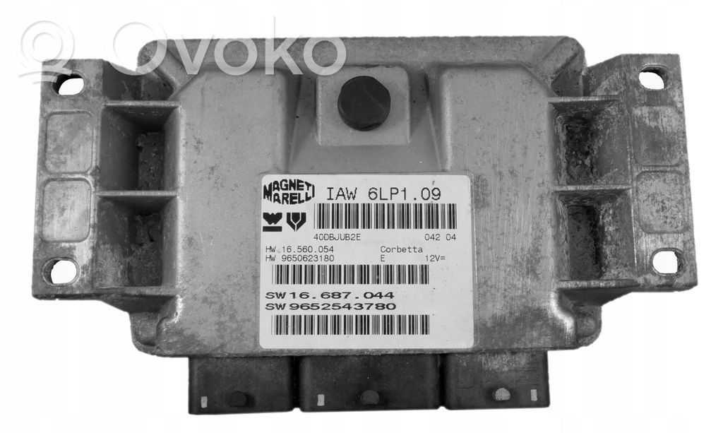 Peugeot 206 Engine control unit/module 