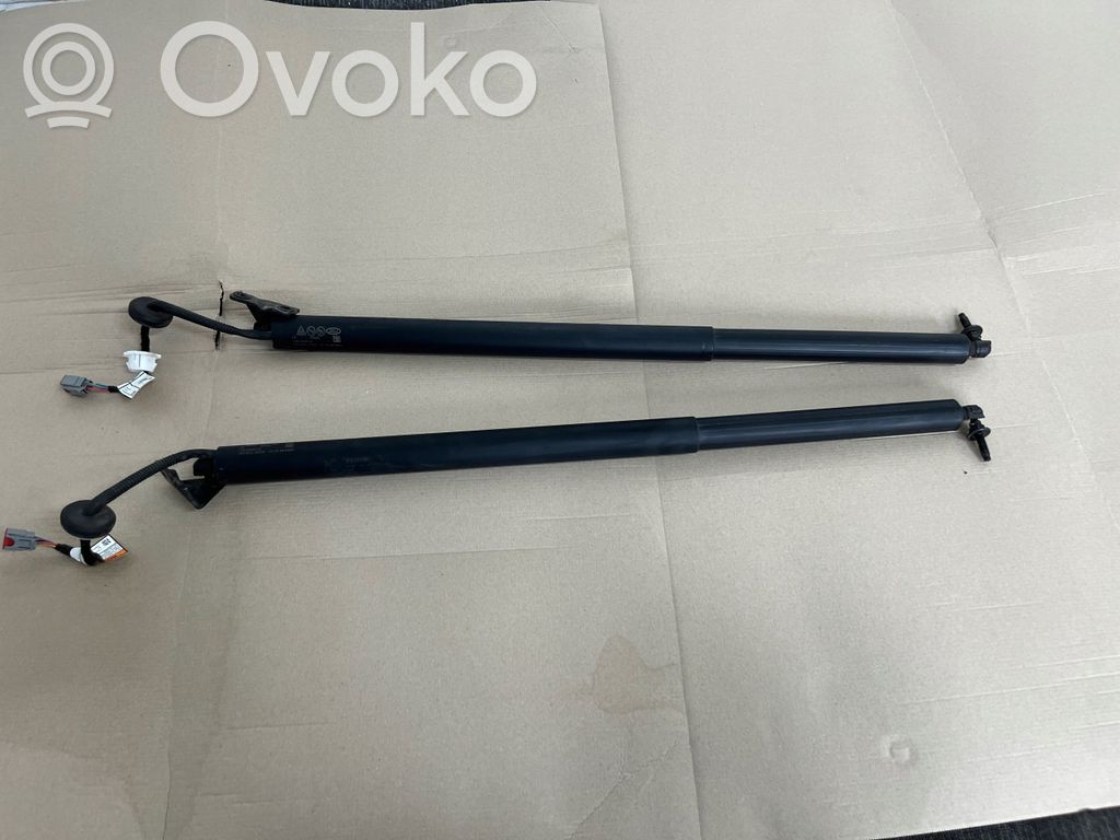 Tailgate/trunk/boot tension spring   LJ8BR402A55AB