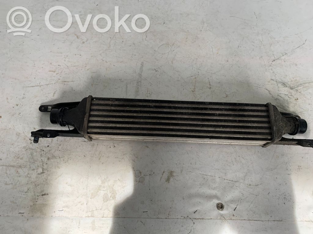 Intercooler radiator   440926702