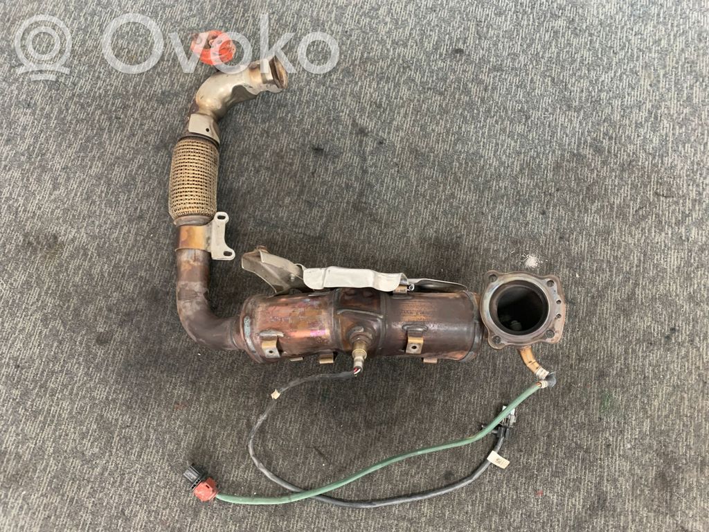 Catalyst/FAP/DPF particulate filter   2569573X