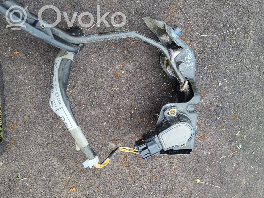 Toyota Corolla Verso AR10 Akceleratoriaus pedalas 