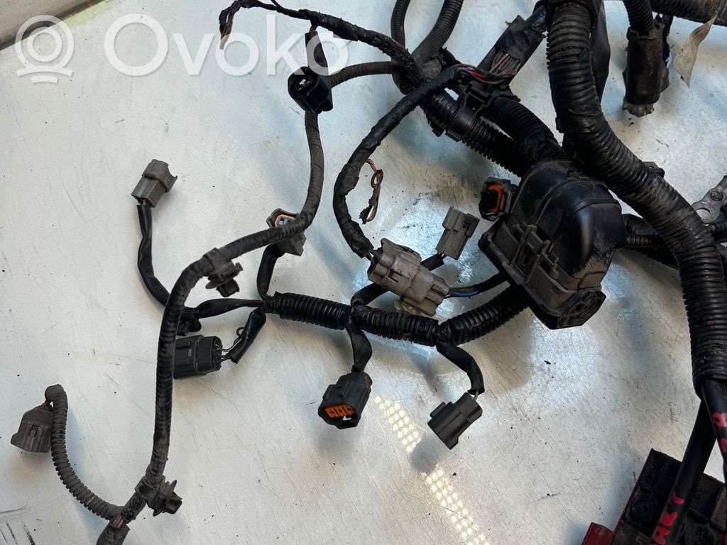 Engine installation wiring loom   2312
