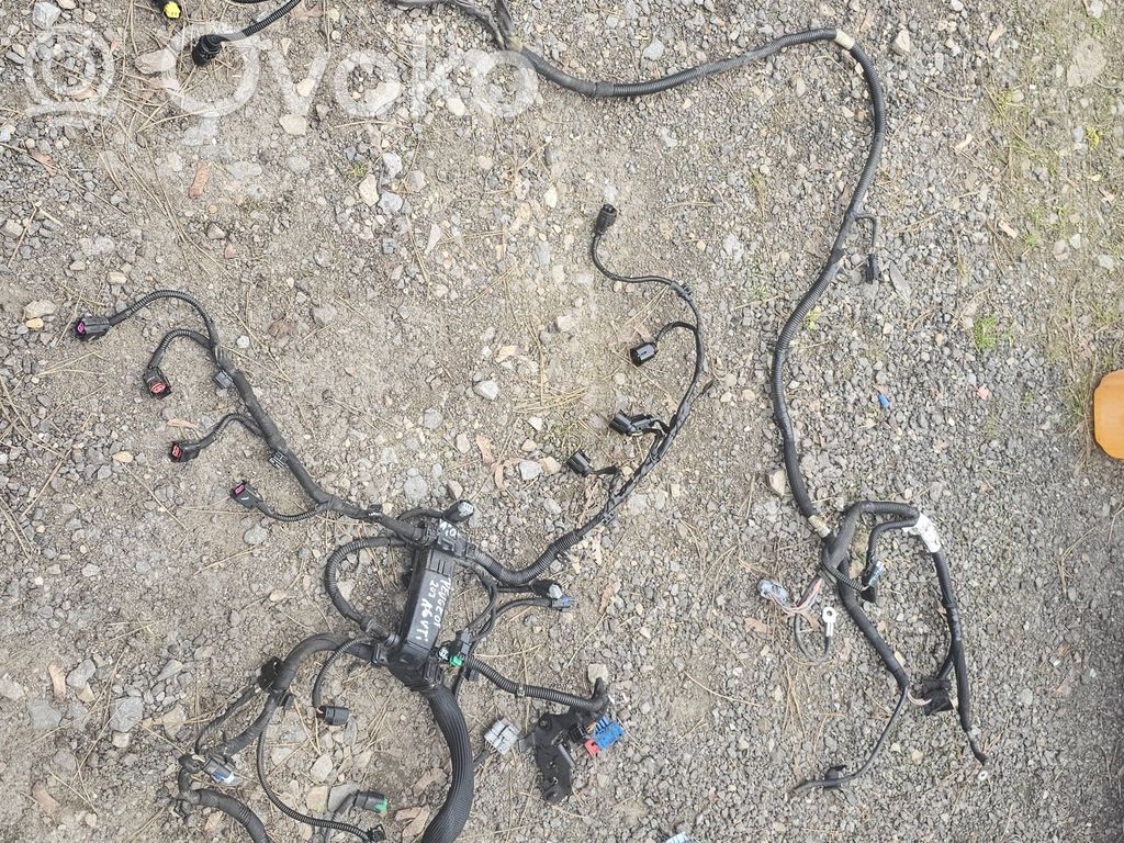 Peugeot 207 Wiring harness 