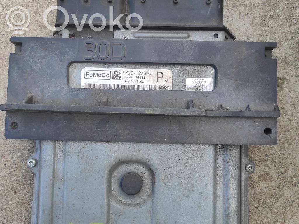 Engine control unit/module   9X2Q12A650,C2D15901,9X2Q12A650PAF,9X2Q12A650PAE,9X2Q12A650PAF,C2D15901,C2D18198,LR021252,LR026215