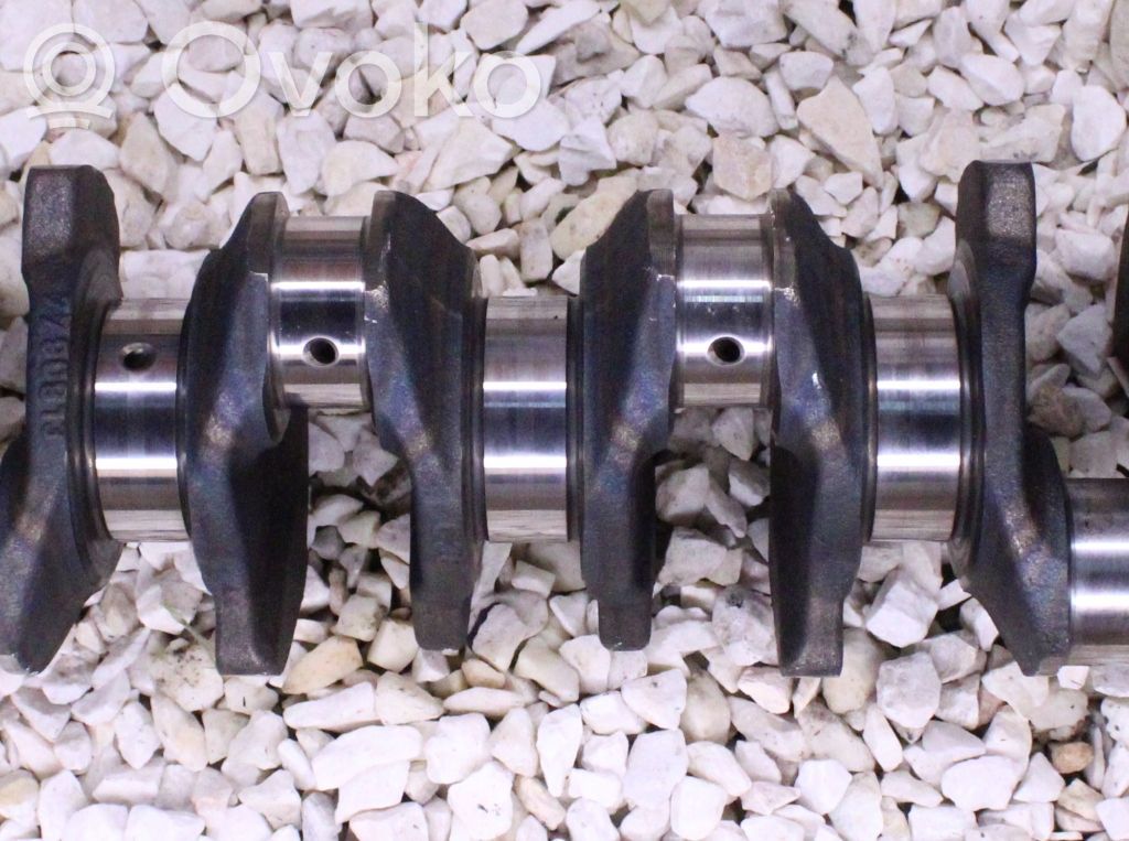Crankshaft   7790813,256D2