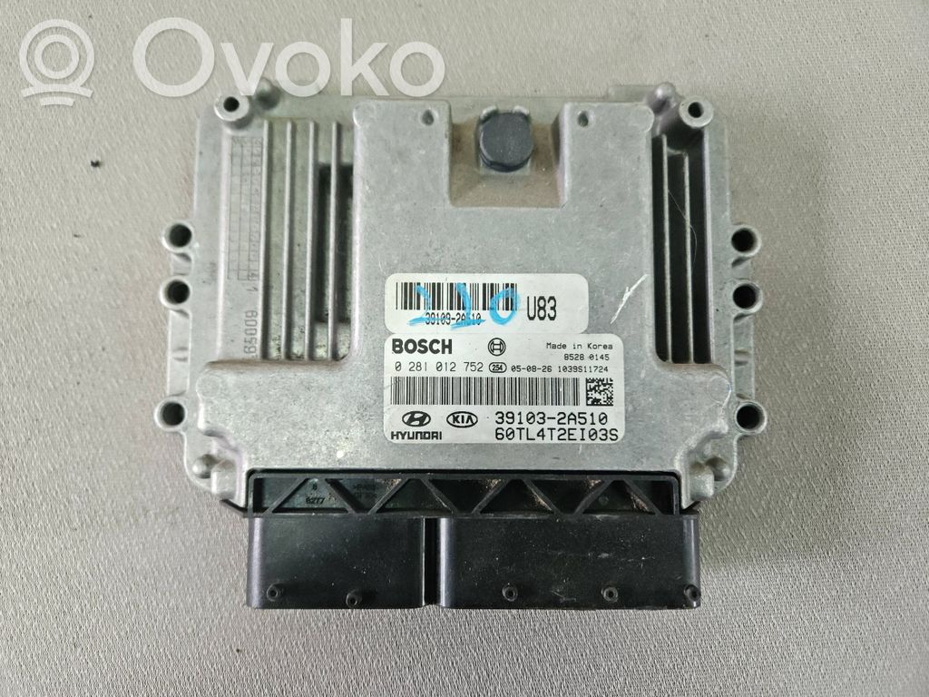 Hyundai Getz Engine control unit/module 