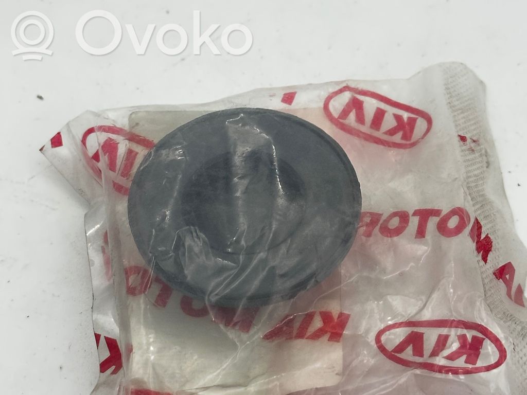 KIA Picanto Polttoainesäiliön pumpun ruuvin lukkorenkaan mutteri 