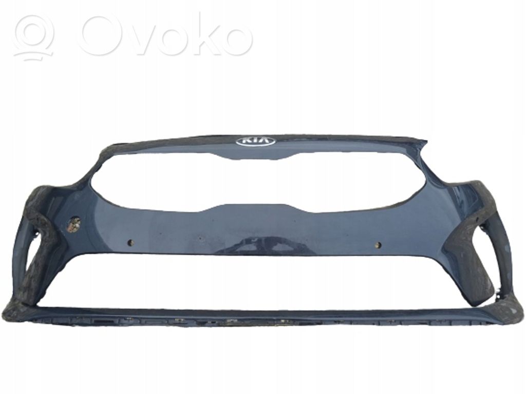 Parachoques delantero   R10P4