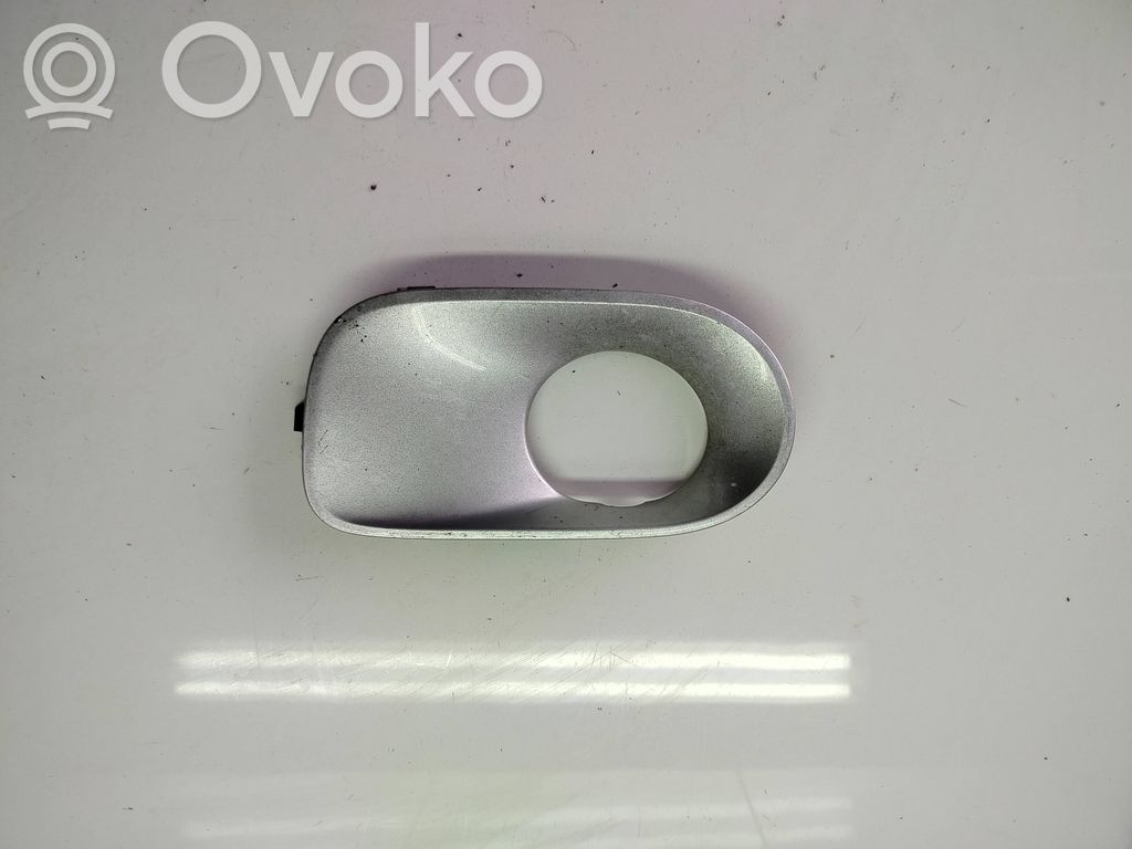 BMW X5 E53 Etupuskurin alempi jäähdytinsäleikkö 