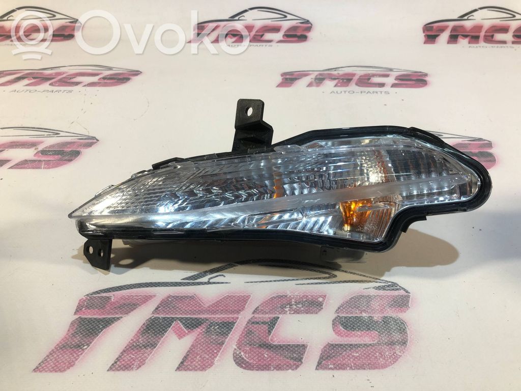 Peugeot 308 Frontblinker 