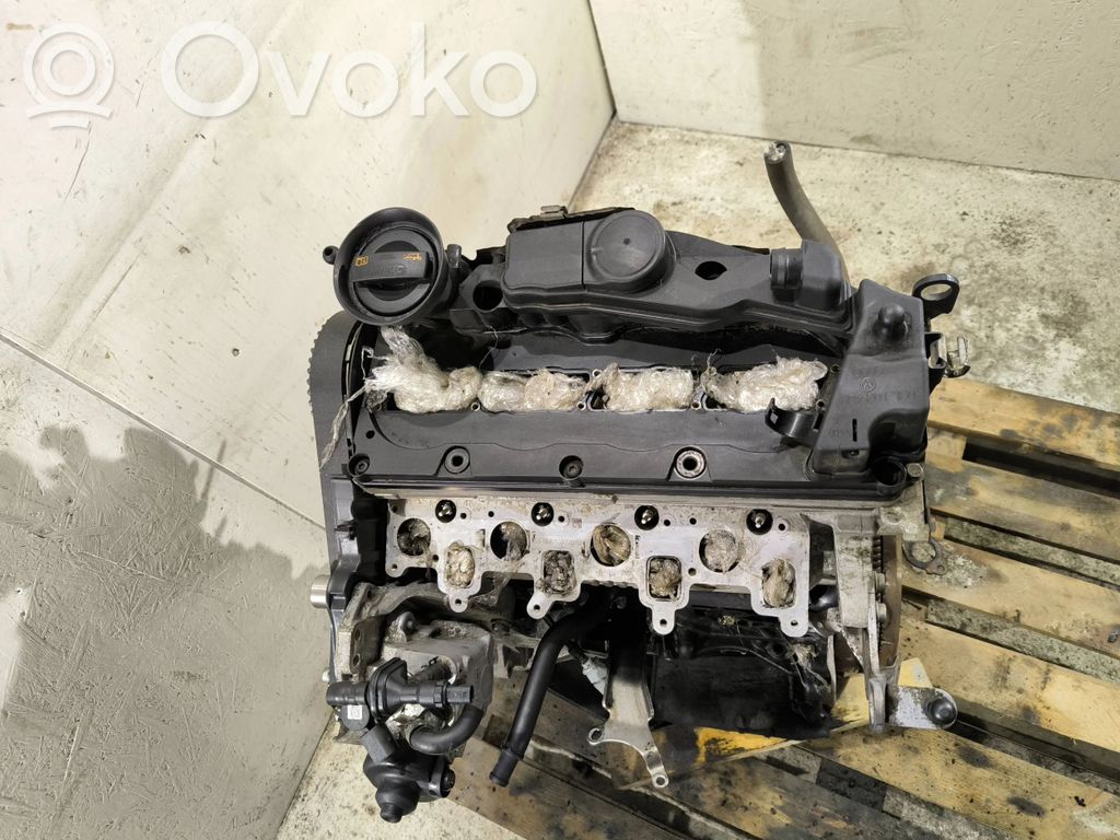 Volkswagen Golf V Motor 