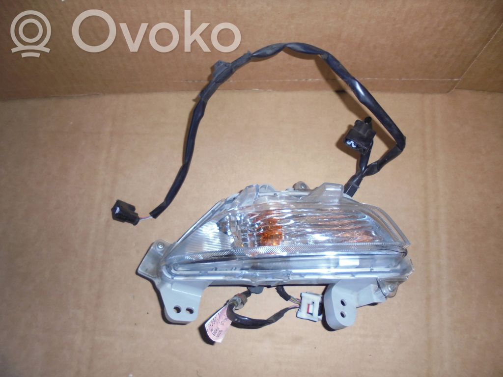 Front indicator light   B45A51350