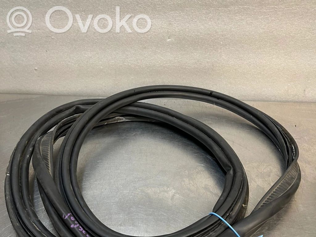 Dacia Jogger Front door rubber seal 