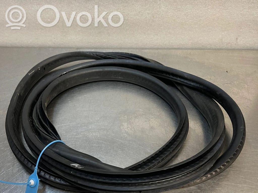 Dacia Jogger Front door rubber seal 