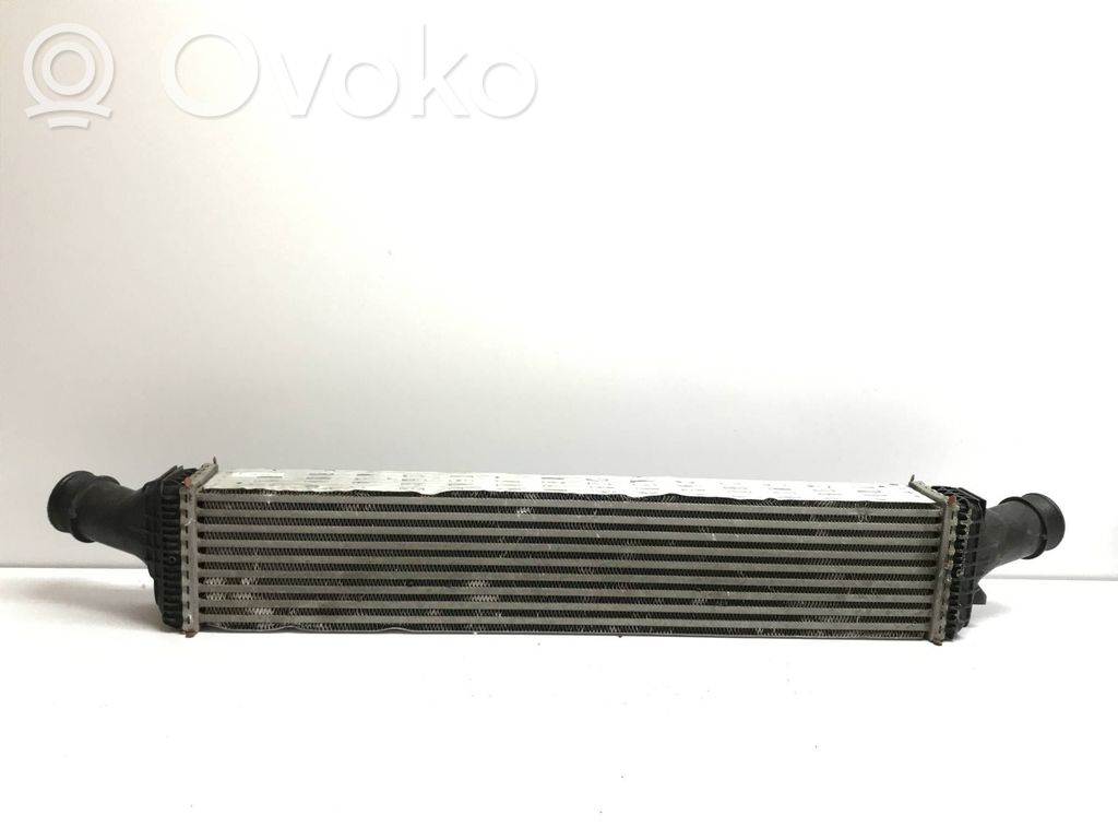 Interkūlerio radiatorius   95B145805A