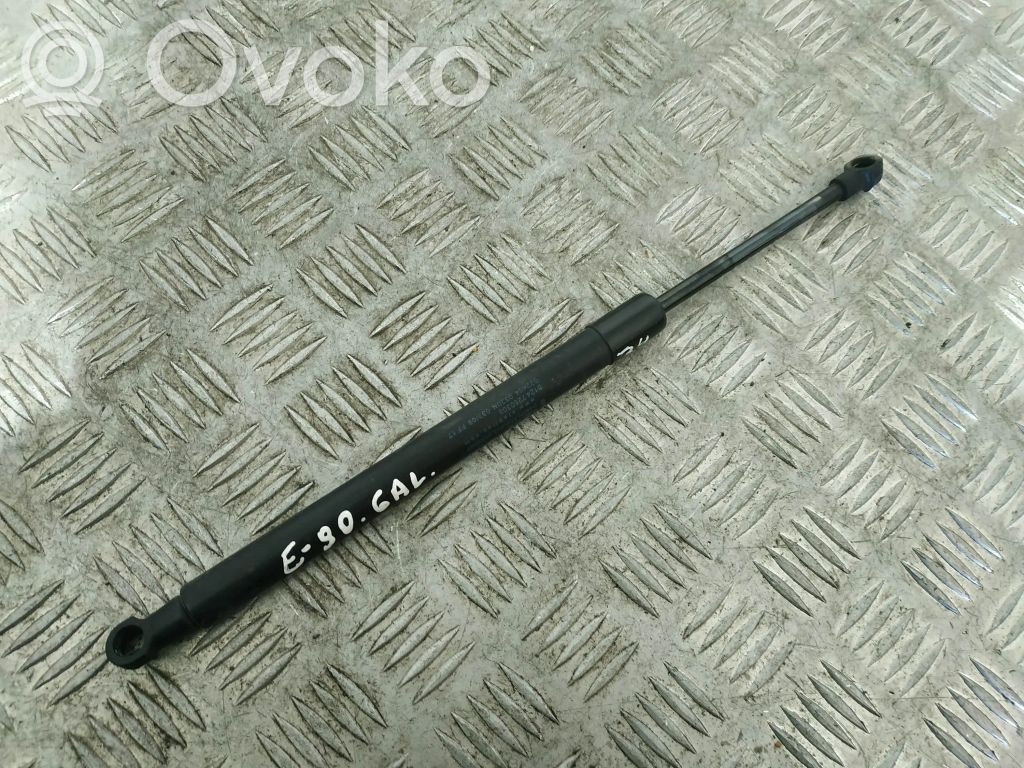 Tailgate/trunk strut/damper   7250308,51247250308