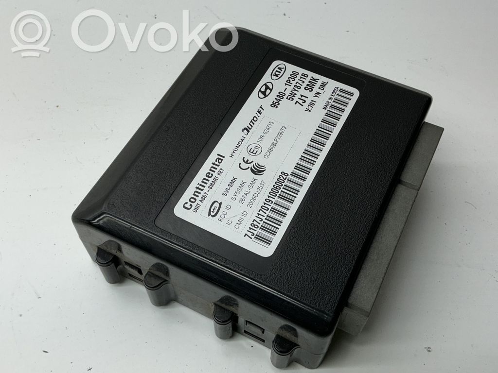 KIA Venga Keyless Steuergerät 