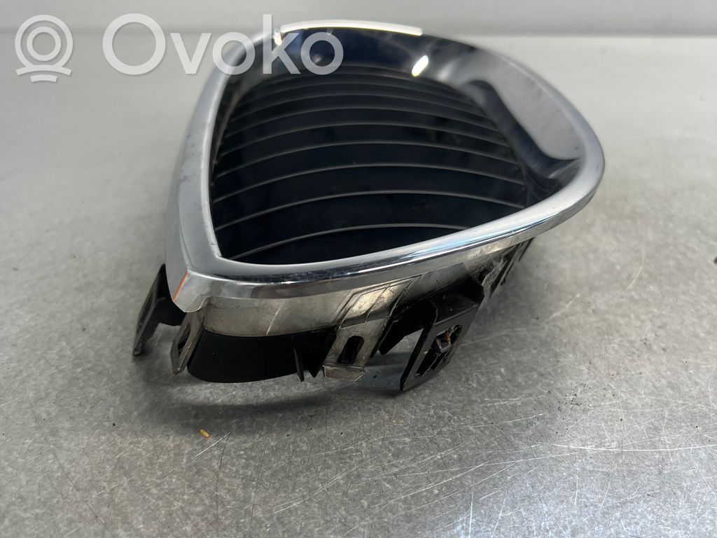 Grille de calandre avant   7027061A,7027061A