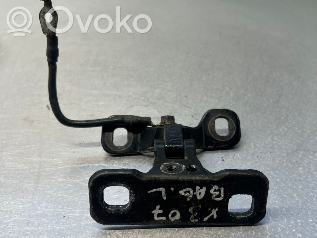 BMW X3 E83 Tailgate/trunk/boot hinge 