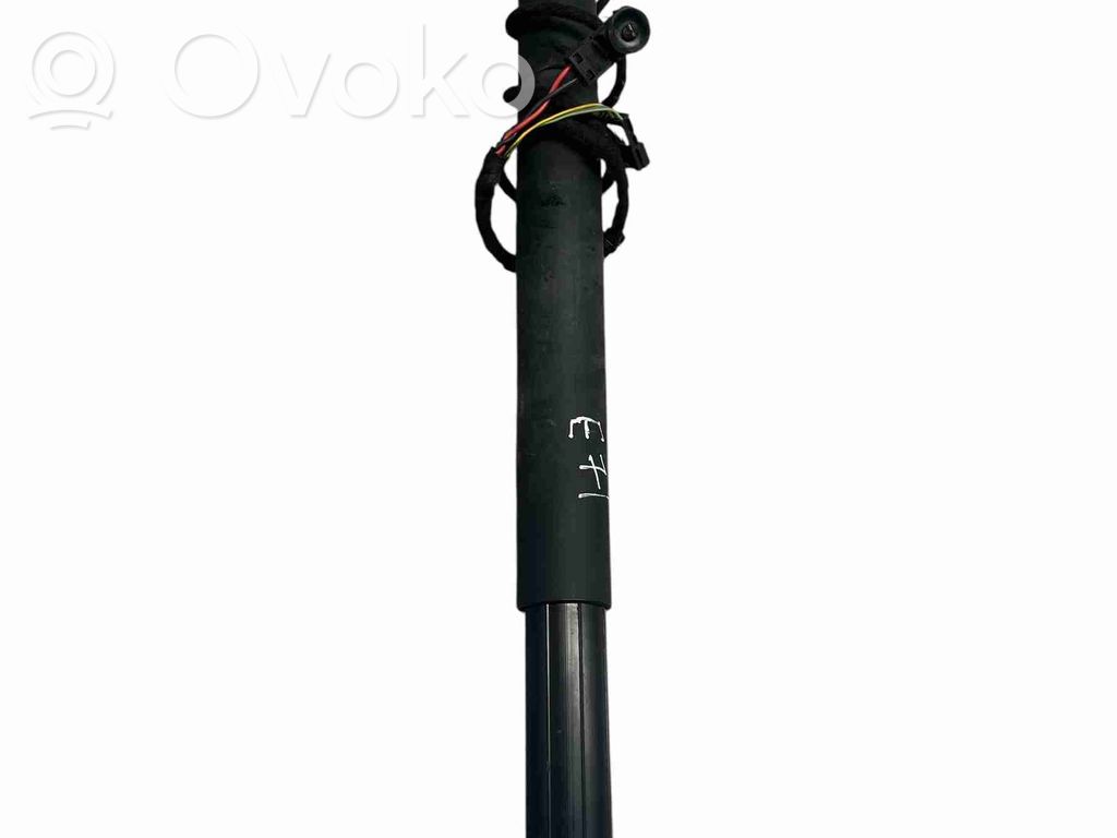 BMW X6 E71 Tailgate/trunk strut/damper 