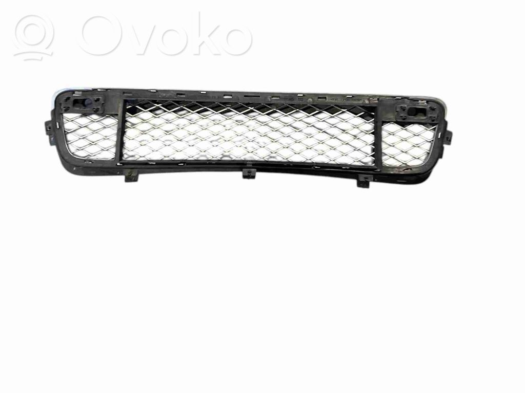BMW X5 E70 Front bumper lower grill 