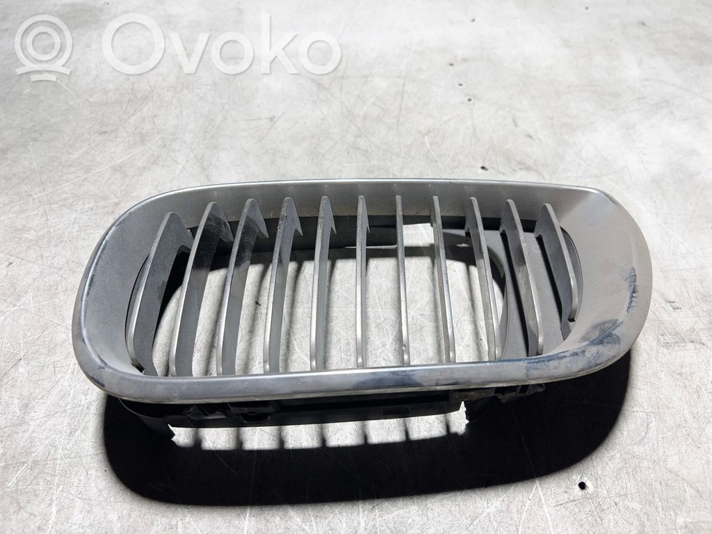 BMW 3 E46 Etusäleikkö 