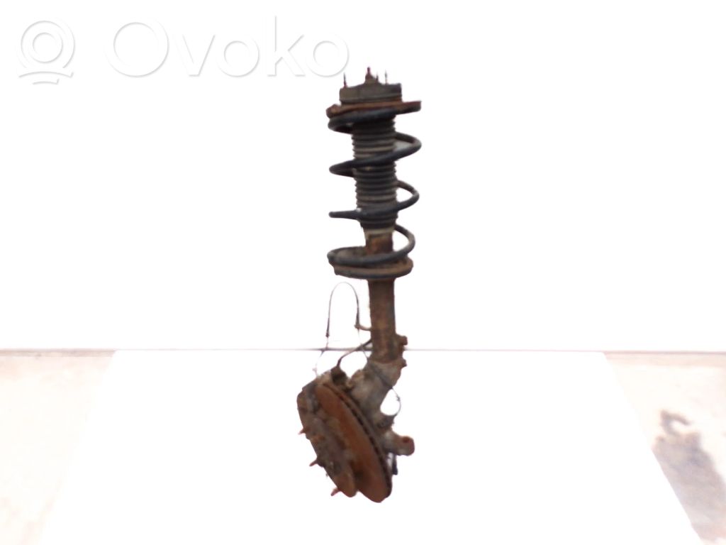 Rear shock absorber with coil spring