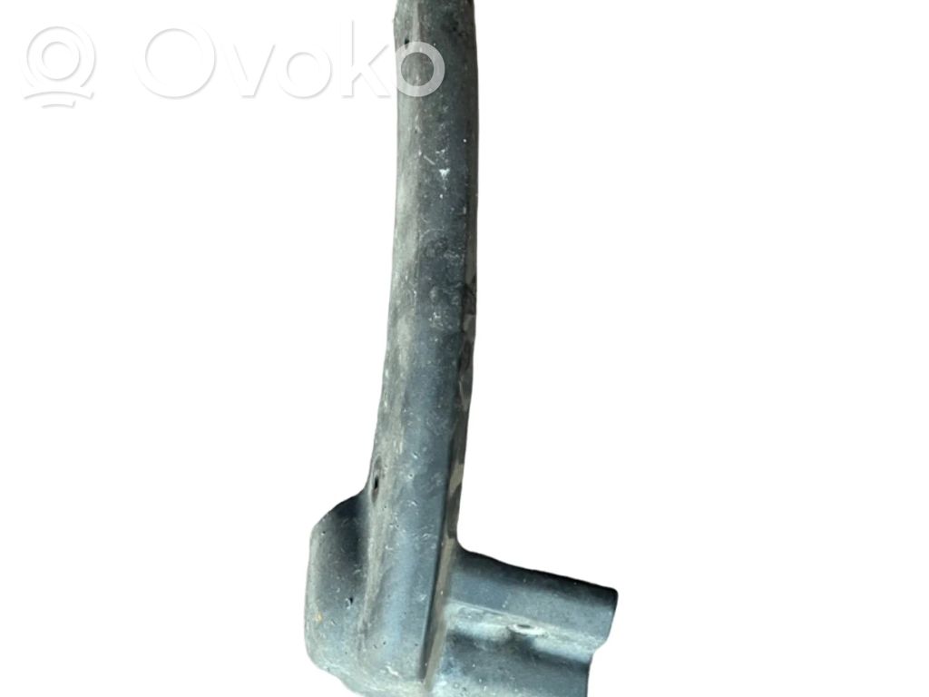 Dodge RAM Ornament capăt aripă 