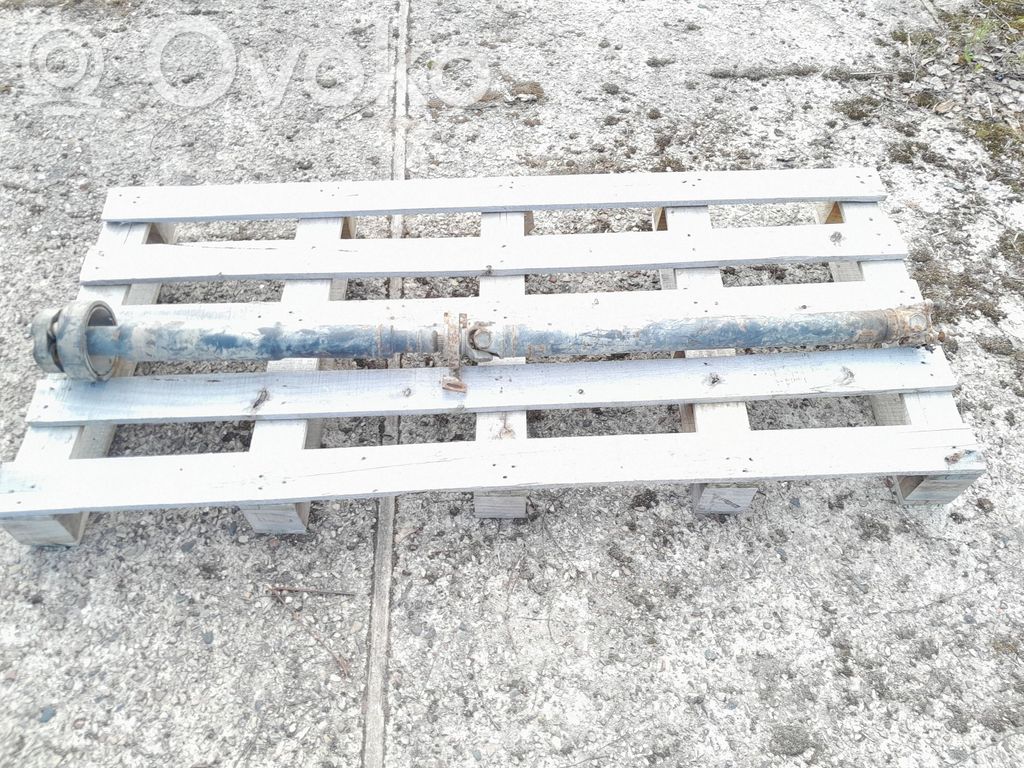 Drive shaft (set)