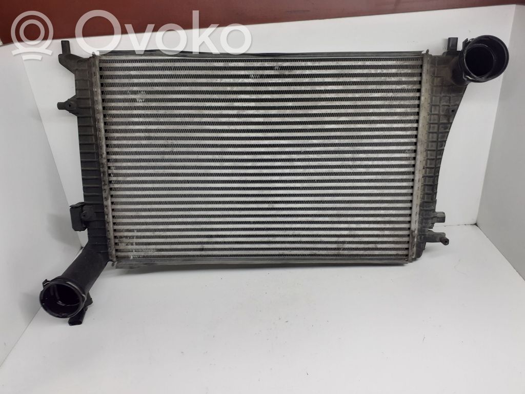 Volkswagen PASSAT B6 Interkūlerio radiatorius 
