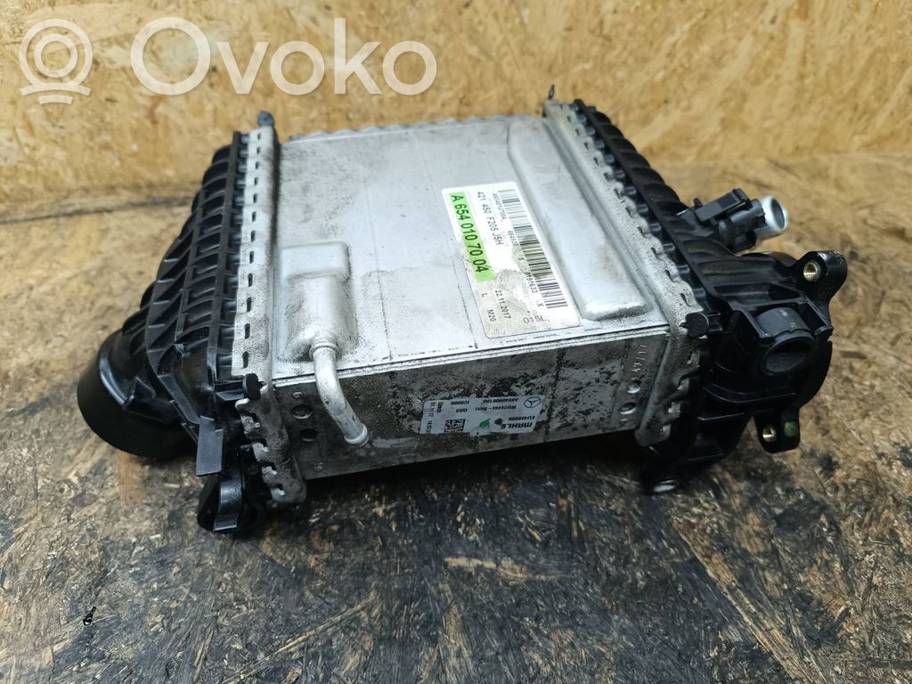 Mercedes-Benz E W213 Interkūlerio radiatorius 