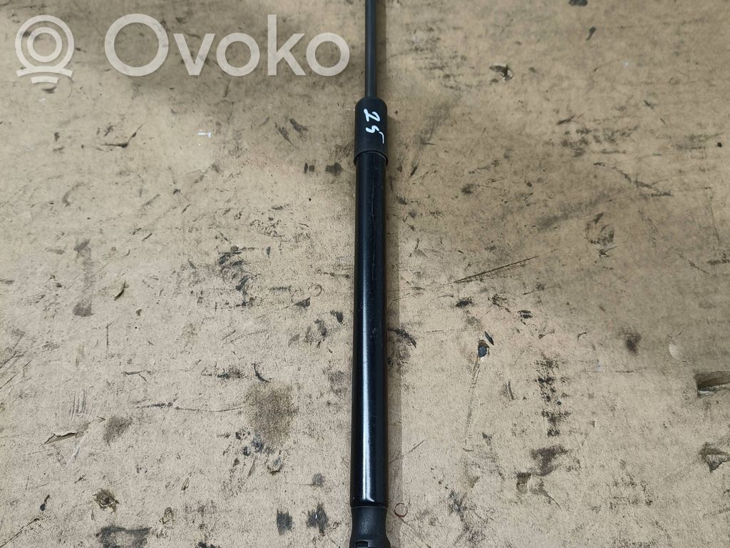 Volkswagen Scirocco Tailgate/trunk strut/damper 