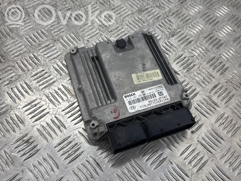 Engine control unit/module   0281031655,391032F507,1039S77336