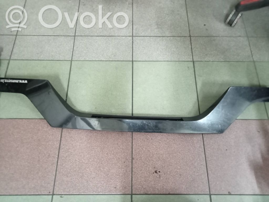 Tailgate trim   7052452,25891810