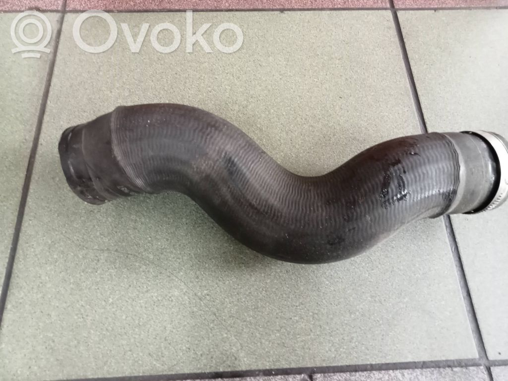 Wąż / Rura intercoolera   55557037,89124