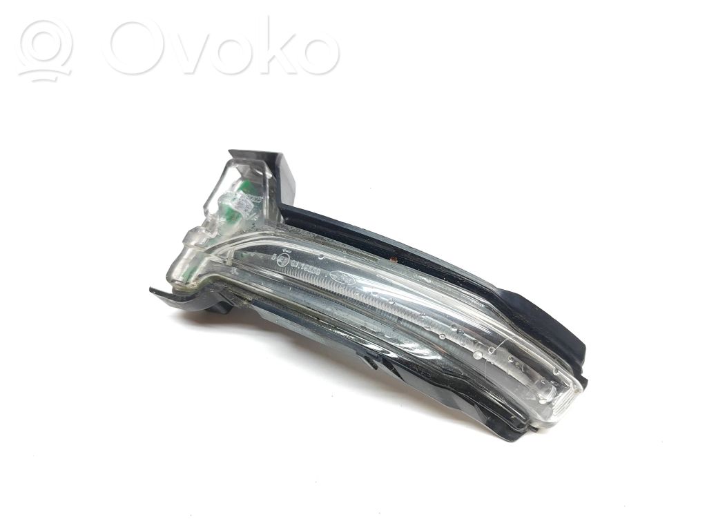 Ford Focus Spiegelblinker 