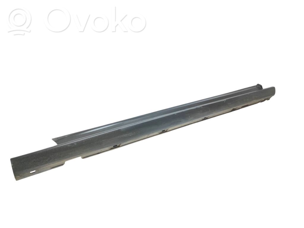 Ford Focus Sill 