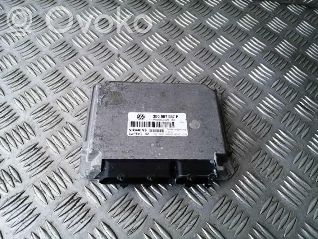 Volkswagen PASSAT B5 Engine control unit/module 