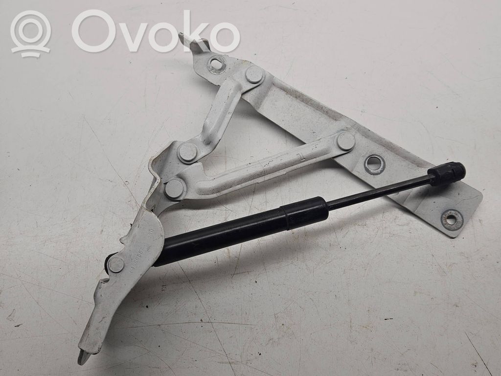 Dodge Challenger Tailgate/trunk/boot hinge 