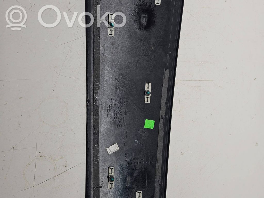Chrysler Pacifica Sliding door trim 