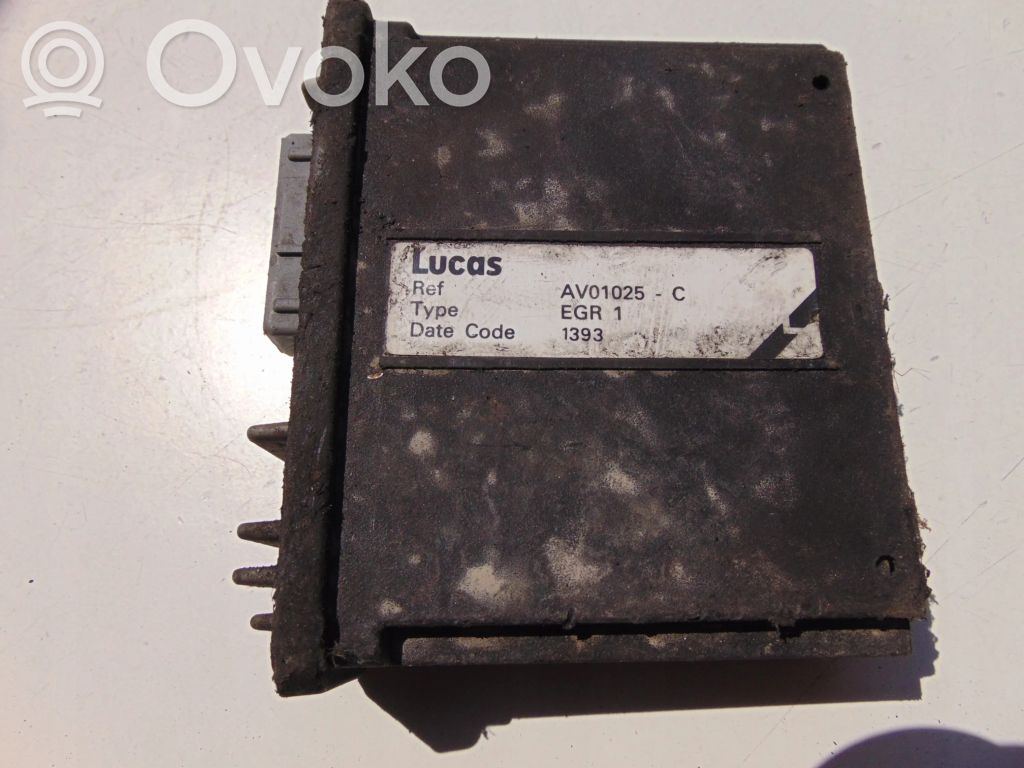 Engine control unit/module   AV01025C