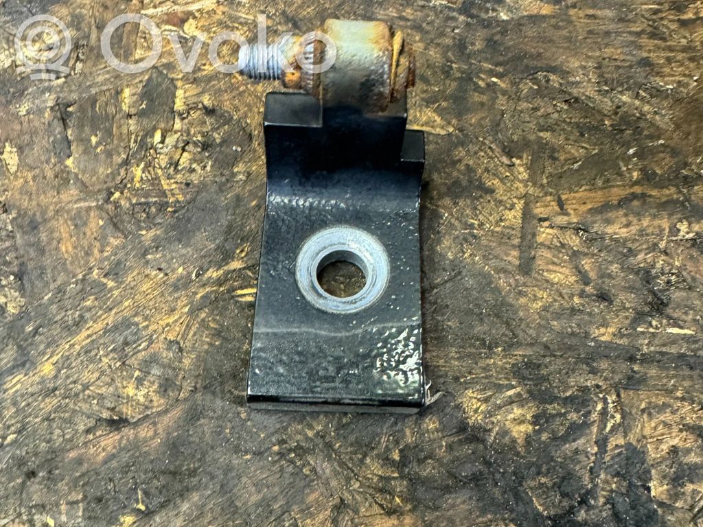 BMW X5 E70 Front door lower hinge 
