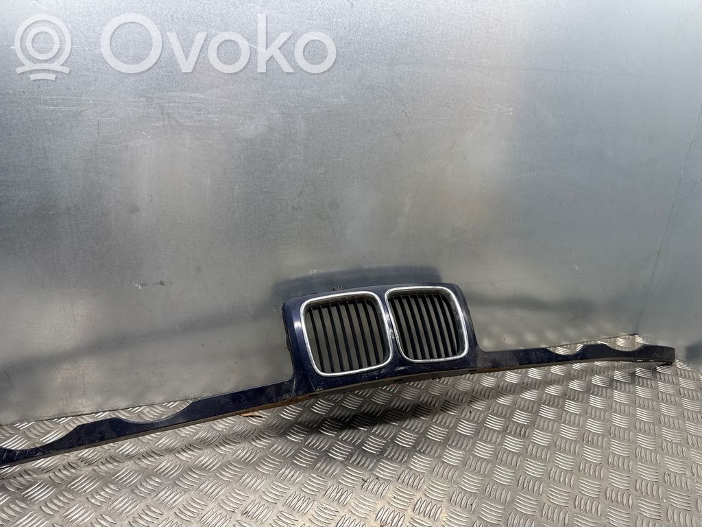 Front grill   51131973825