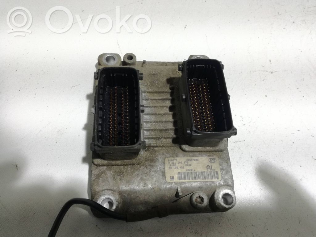 Engine control unit/module   0261206075,618677