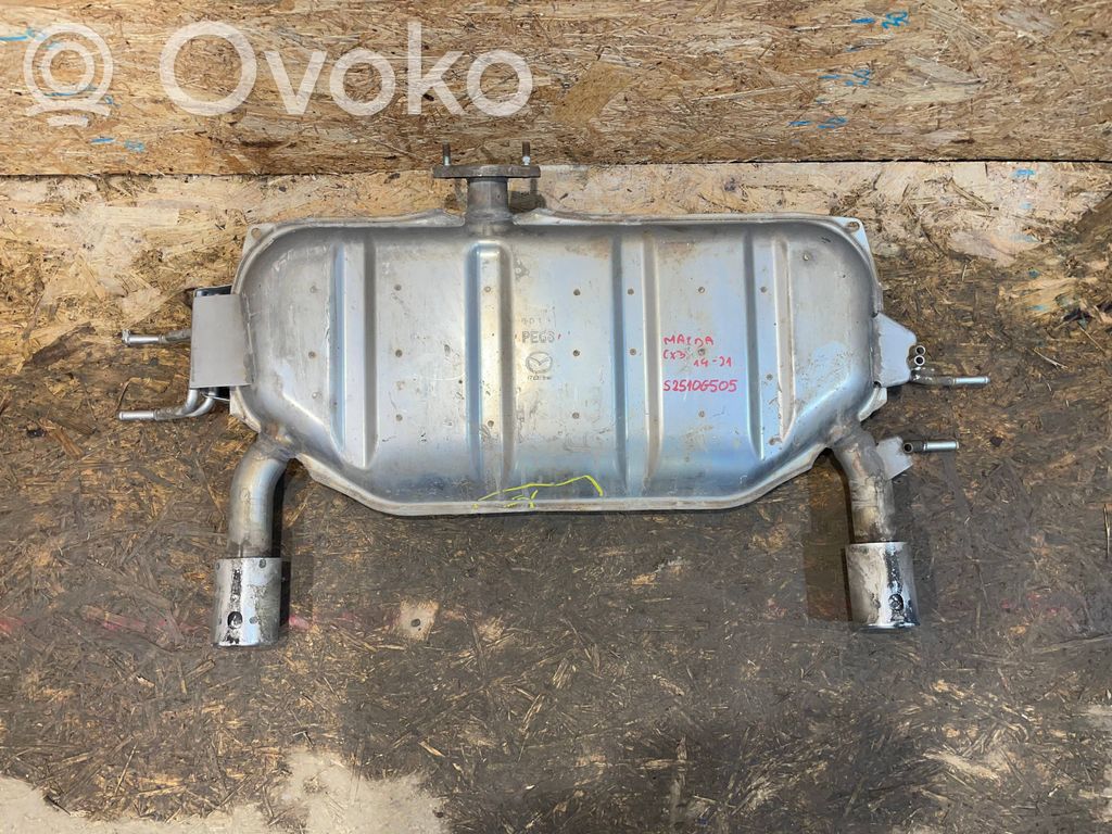 Galinė pūslė   PEG8,S2510G505M