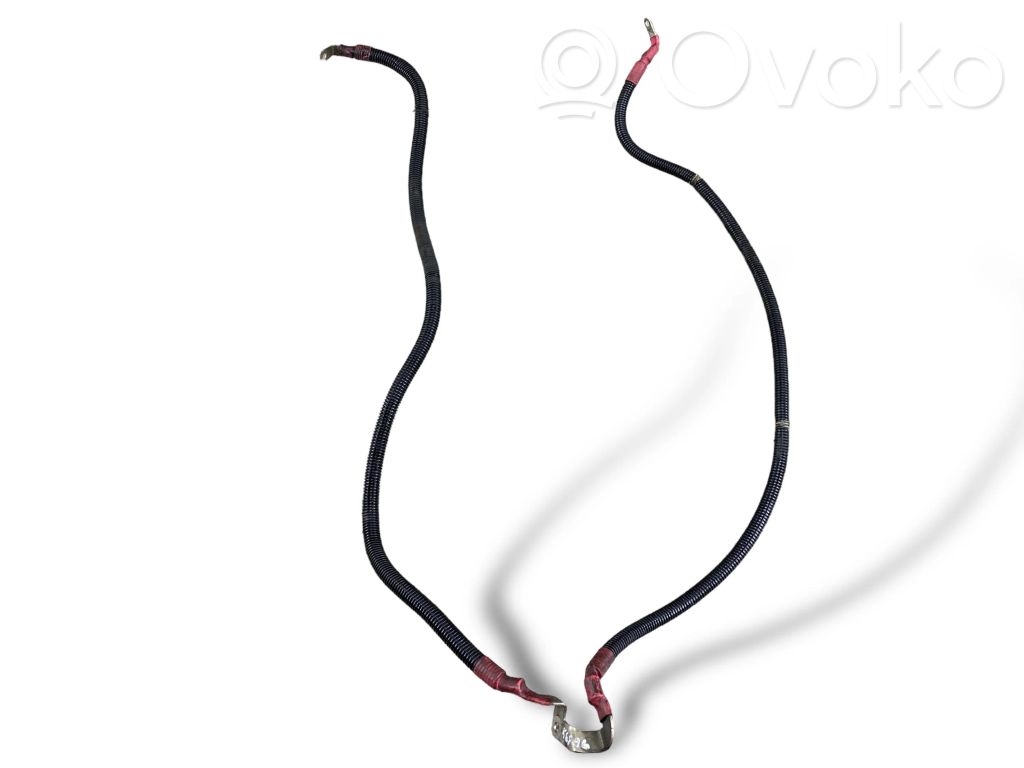Plusa vads (akumulatora)