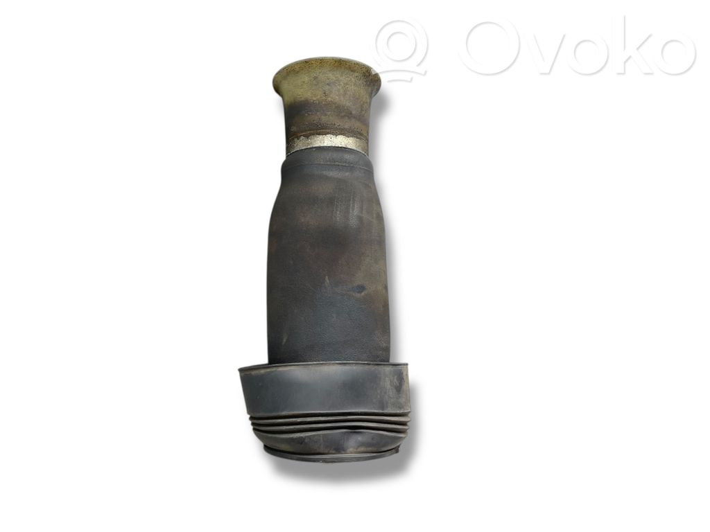 Aizmugurē gaisa spilvens