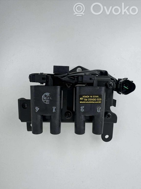 Ensemble de bobine d'allumage haute tension adapté aux modèles 753-05301, 753-05243 et 753-05410