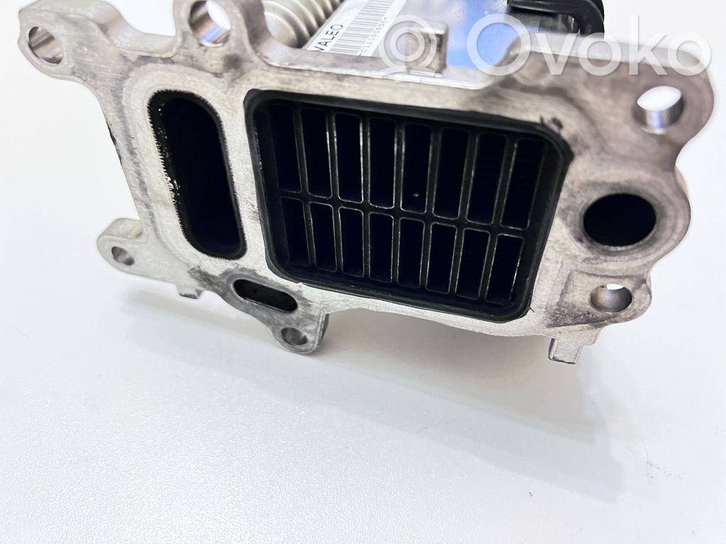 V29007672 Opel Insignia B AGR Kühler Abgaskühler, 30.00 € | RRR